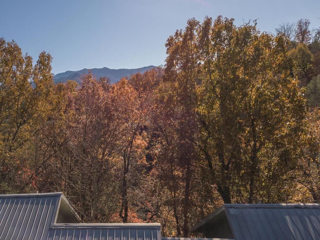 Sasquatch Lodge E Sleeps 13 Гатлинбург Экстерьер фото